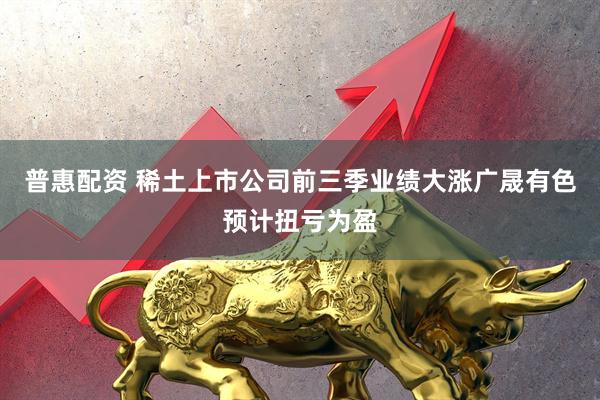 普惠配资 稀土上市公司前三季业绩大涨广晟有色预计扭亏为盈