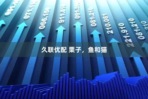 久联优配 栗子，鱼和猫