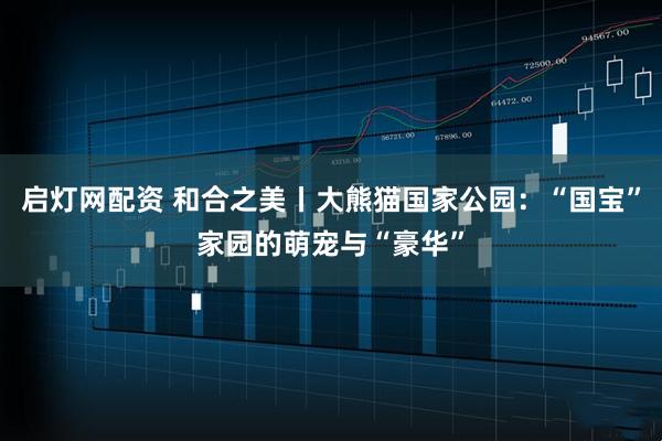 启灯网配资 和合之美丨大熊猫国家公园：“国宝”家园的萌宠与“豪华”